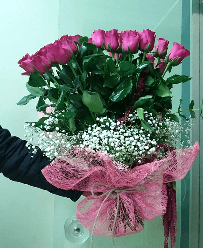 PEMBE RÜYASI